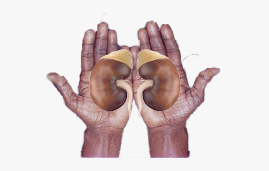 Sign Language, Transparent Clipart