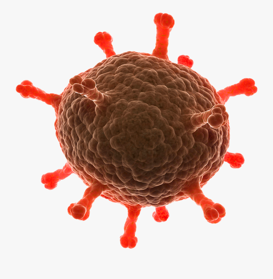 Disease Free Download Png - Transparent Disease Png, Transparent Clipart