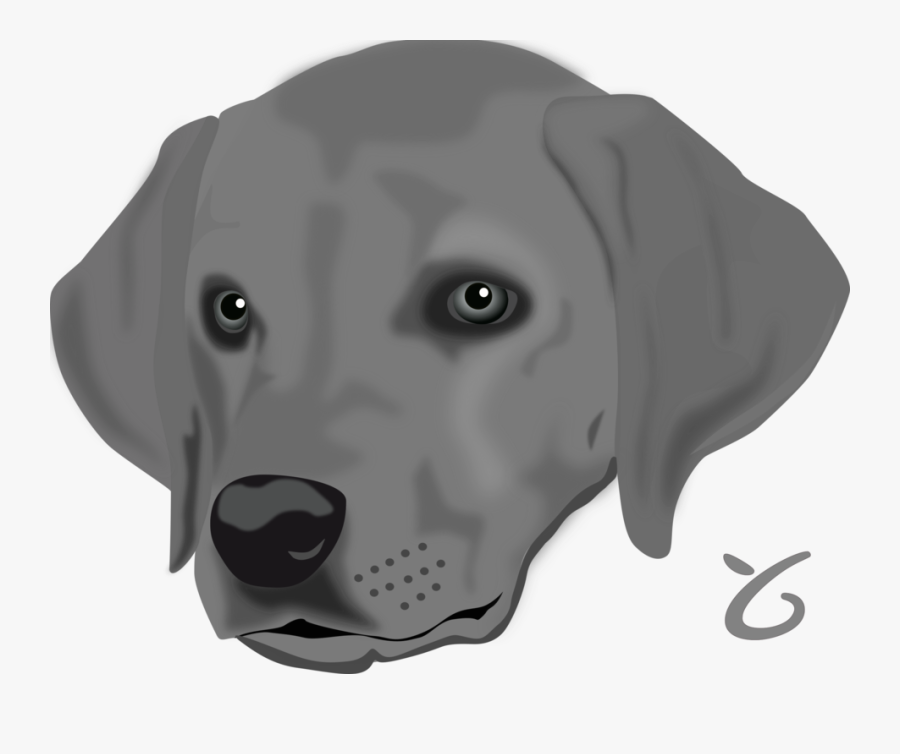 Head,puppy,weimaraner - Head Of A Dog, Transparent Clipart