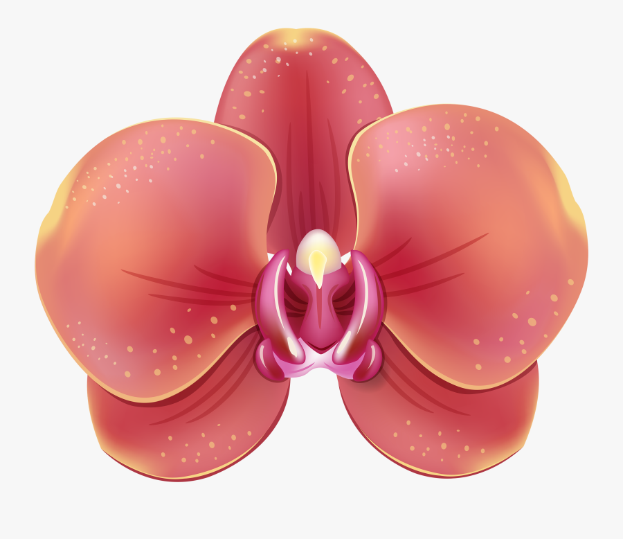 Red Orchid Png Clipart - Clip Art, Transparent Clipart