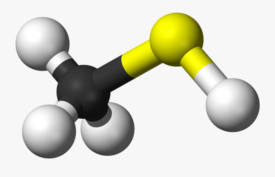 Human Fart Gas Composition - Methyl Mercaptan, Transparent Clipart