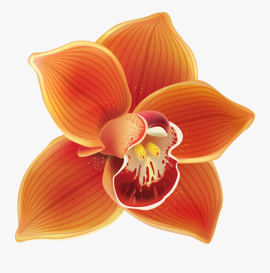 Orange Orchid Png Clipart - Orchid Clipart Png, Transparent Clipart