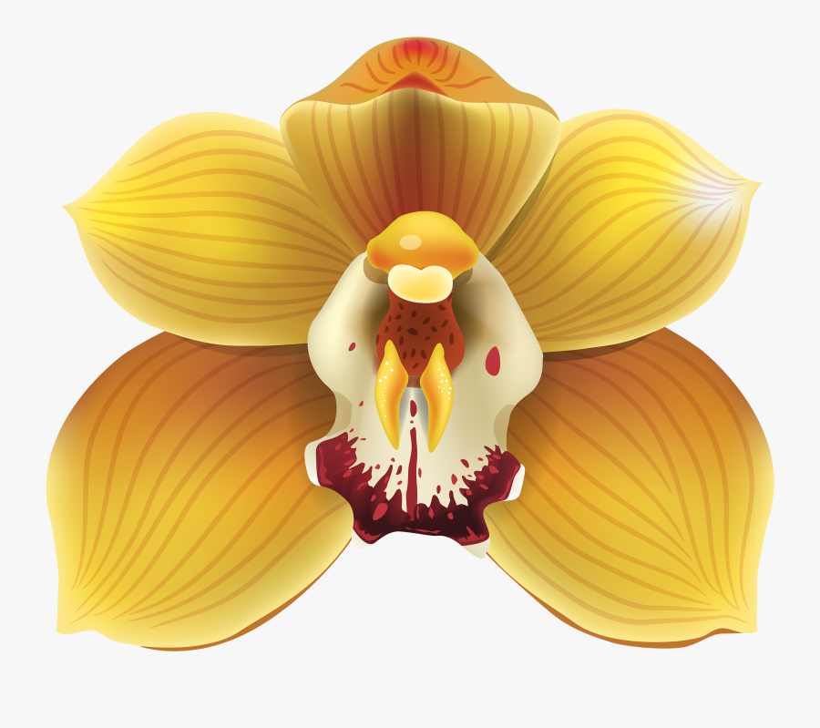 Yellow Orchid Png Clipart - Yellow Orchids Png, Transparent Clipart