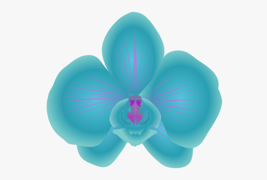 Transparent Orchid Clipart Black And White - Blue Orchid Clip Art, Transparent Clipart