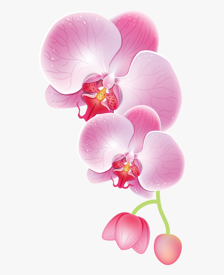 Clip Art Orchid Photos - Watercolor Painting Of Orchids, Transparent Clipart