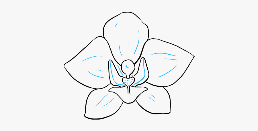 Orchid Clipart Easy - Line Art, Transparent Clipart