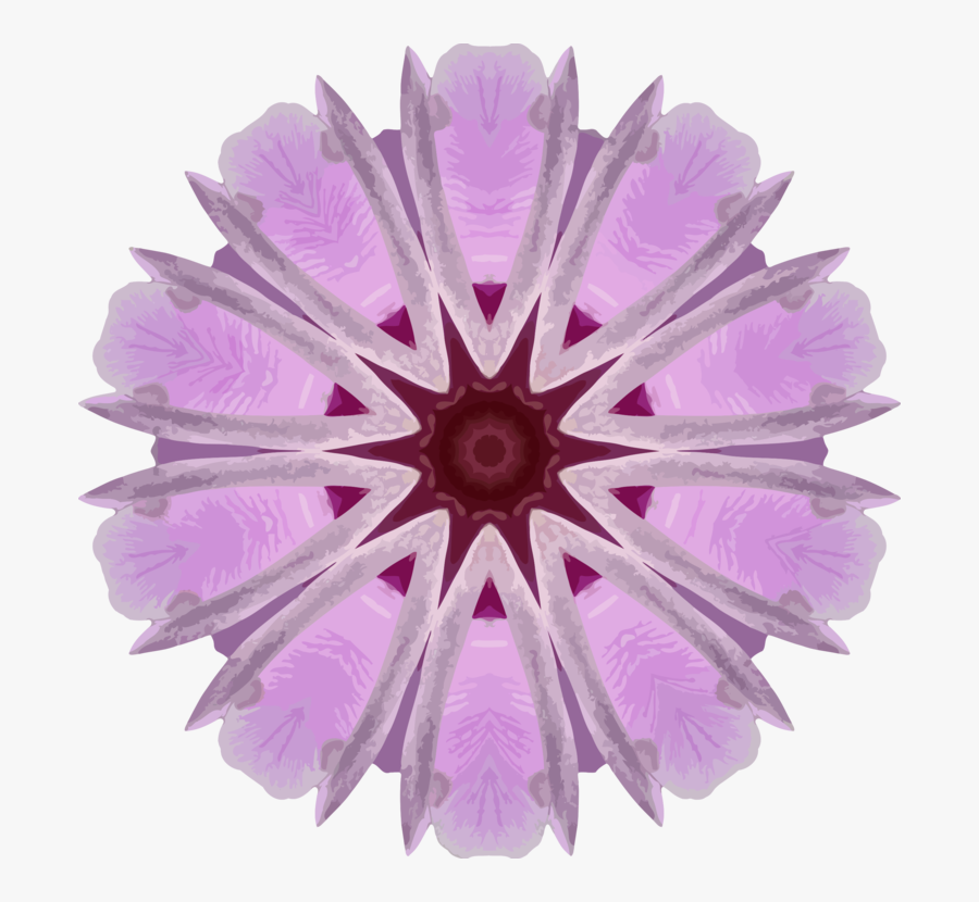 Pink,flower,lilac - Circle, Transparent Clipart