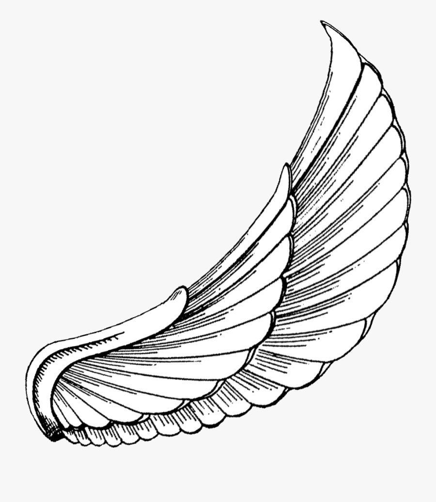 Egyptian Wing Tattoo Designs, Transparent Clipart