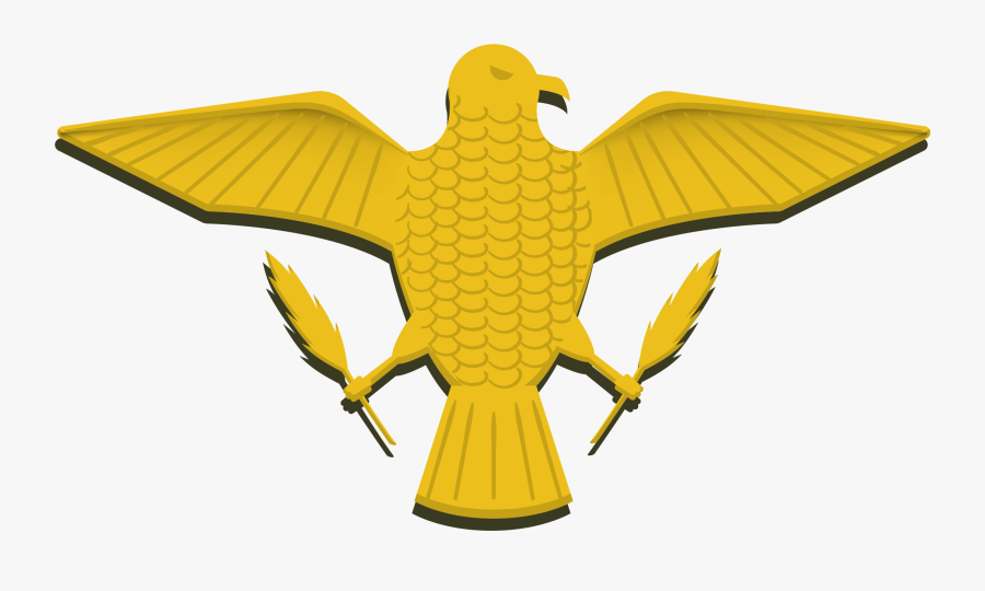 Air Force Clipart Eagle - Buzzard, Transparent Clipart