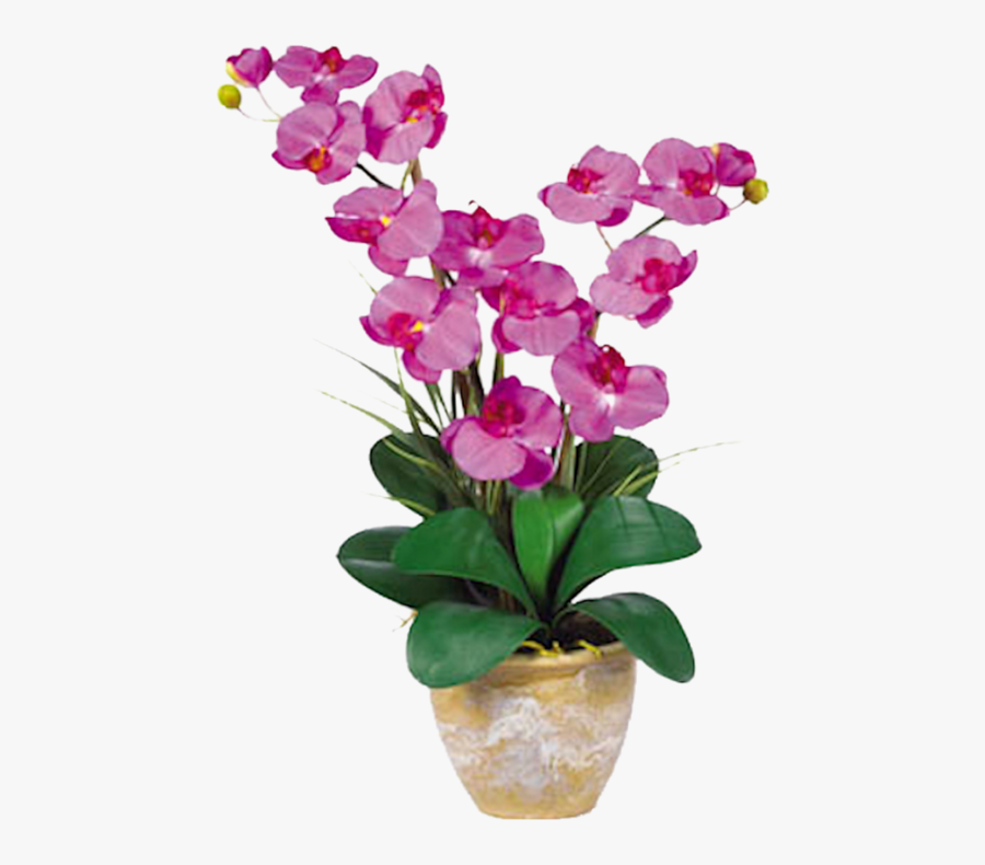 Orchid Double Stem Phalaenopsis Silk Orchid Arrangement - Orchid Flower, Transparent Clipart