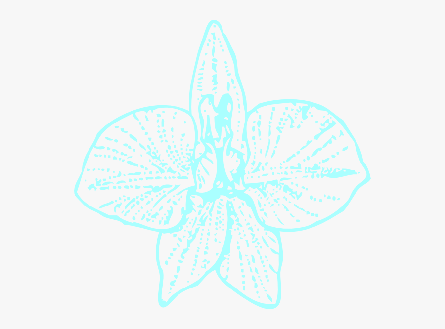 Blue Orchid Clip Art Svg Clip Arts - Orchid, Transparent Clipart