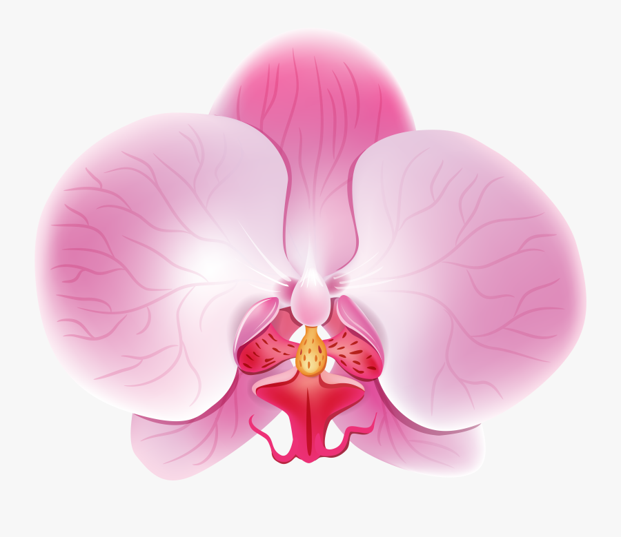 Pink Png Clip Art, Transparent Clipart