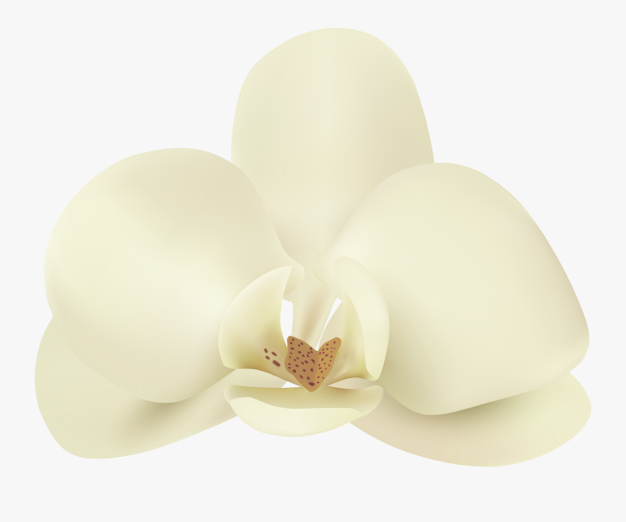 Flower Png Clip Art, Transparent Clipart