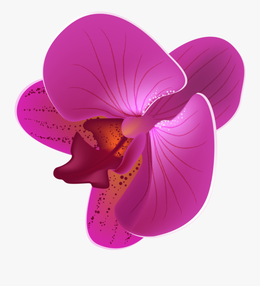 Orchid Flower Png, Transparent Clipart