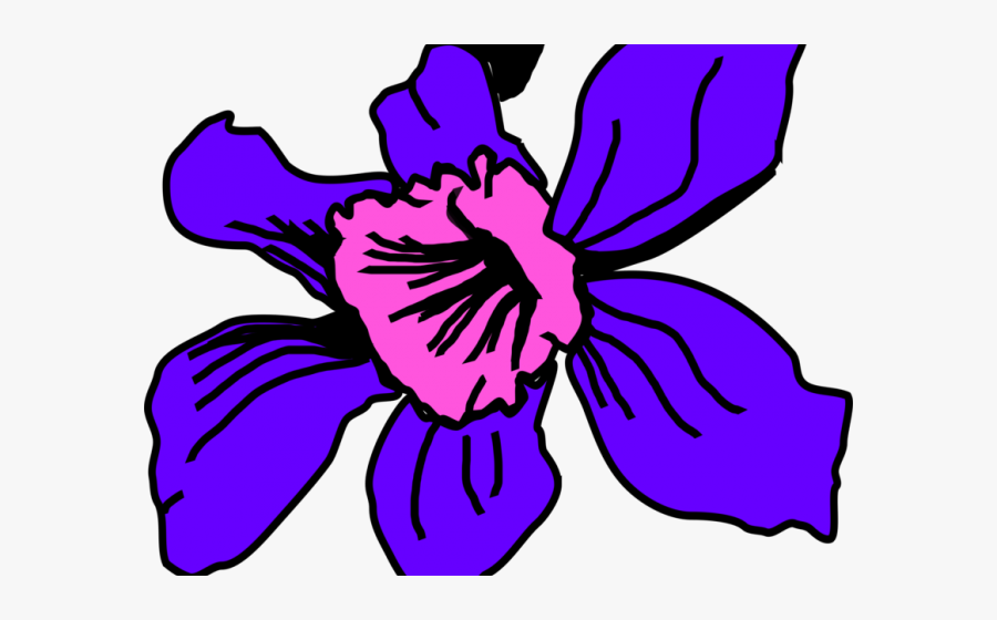 Columbian Orchid Cliparts - National Colombian Flower Clipart, Transparent Clipart