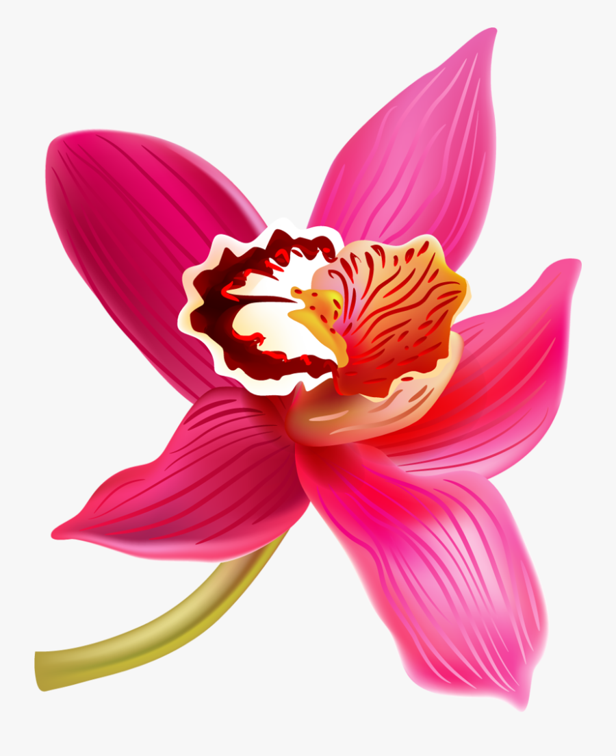 Transparent Orchid Flower Clipart - Orchids Flower Art Clip, Transparent Clipart