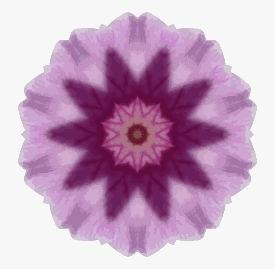 Orchid Kaleidoscope - Ball Of Whacks Turtle, Transparent Clipart