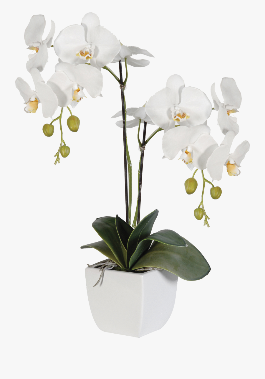 Flower Art, Floral Arrangements, Orchids, Centerpieces, - White Orchid Png Pot, Transparent Clipart