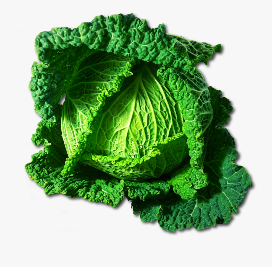 Transparent Cabbage Clipart - Kohl Transparent, Transparent Clipart