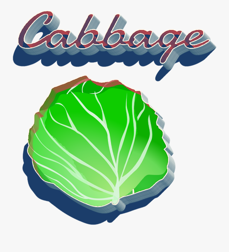 Cabbage Png Clipart - Illustration, Transparent Clipart