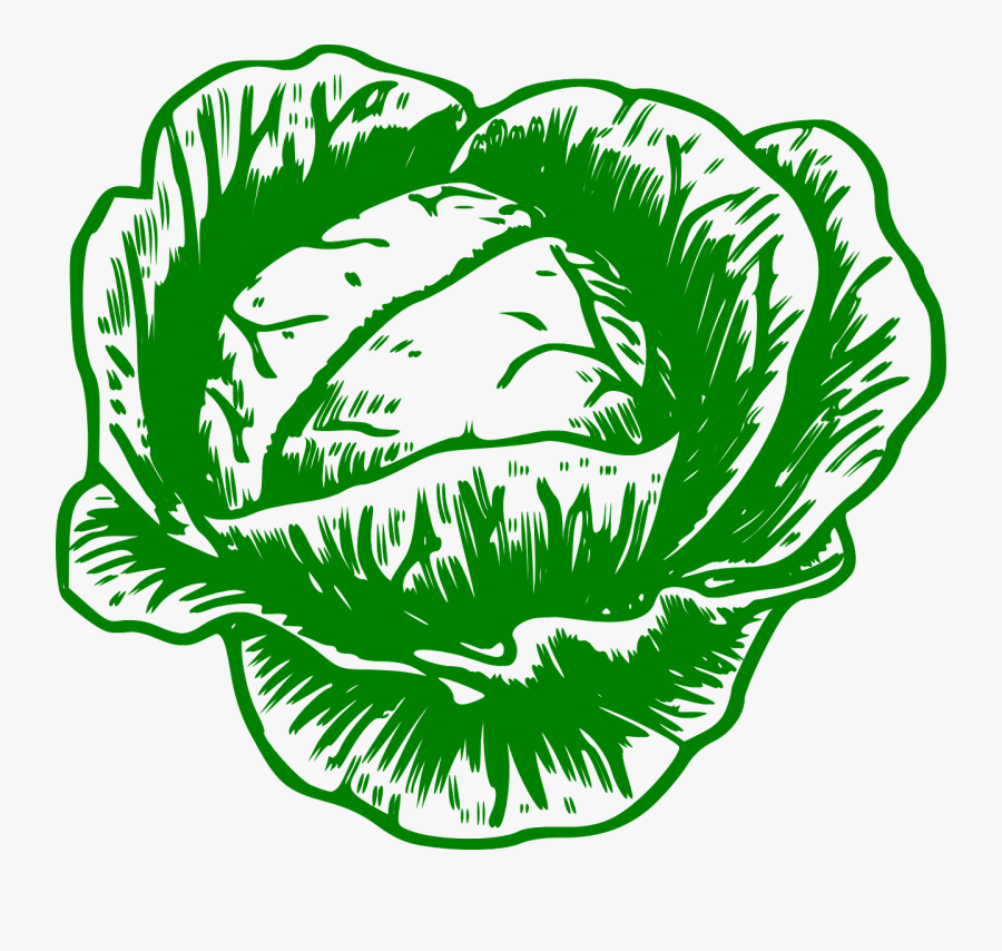 Cabbage Black And White Clipart, Transparent Clipart