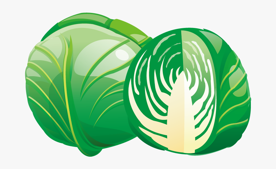 Red Cabbage Savoy Cabbage Vegetable - Cabbage, Transparent Clipart