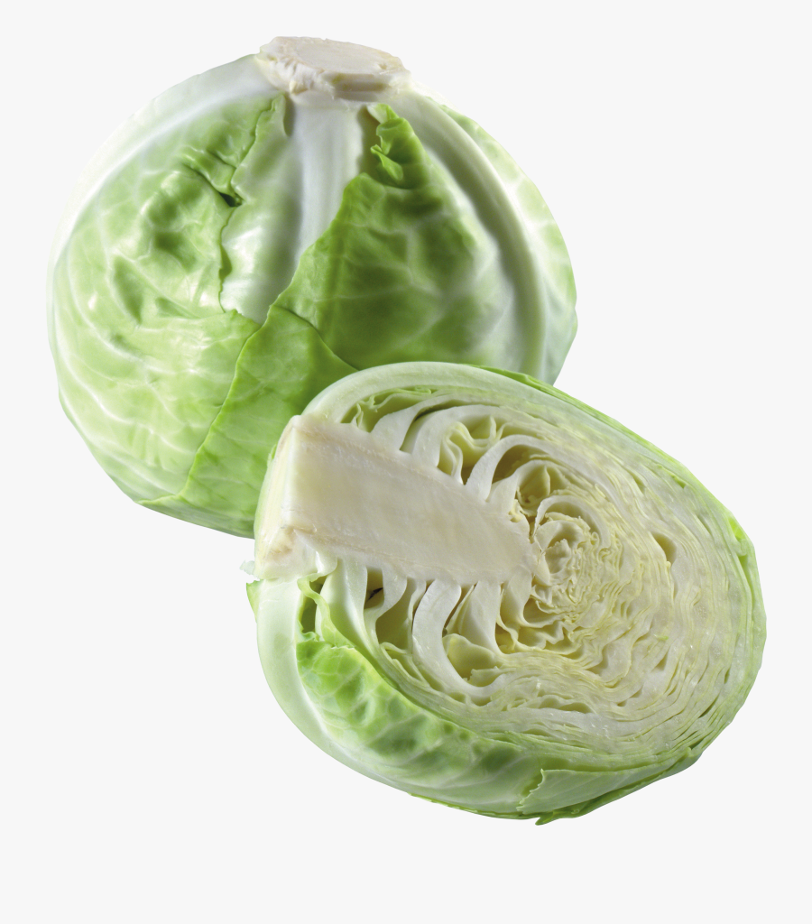 Grab And Download Cabbage Png Image - Карточки Для Детей, Transparent Clipart