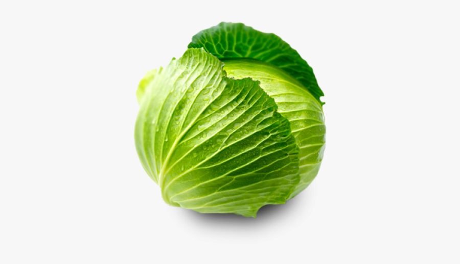 Cabbage Png, Transparent Clipart