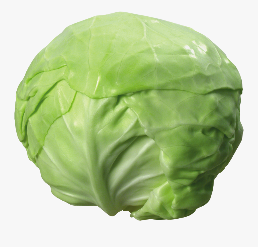 Cabbage Png Transparent Images - Cabbage Png Clipart, Transparent Clipart