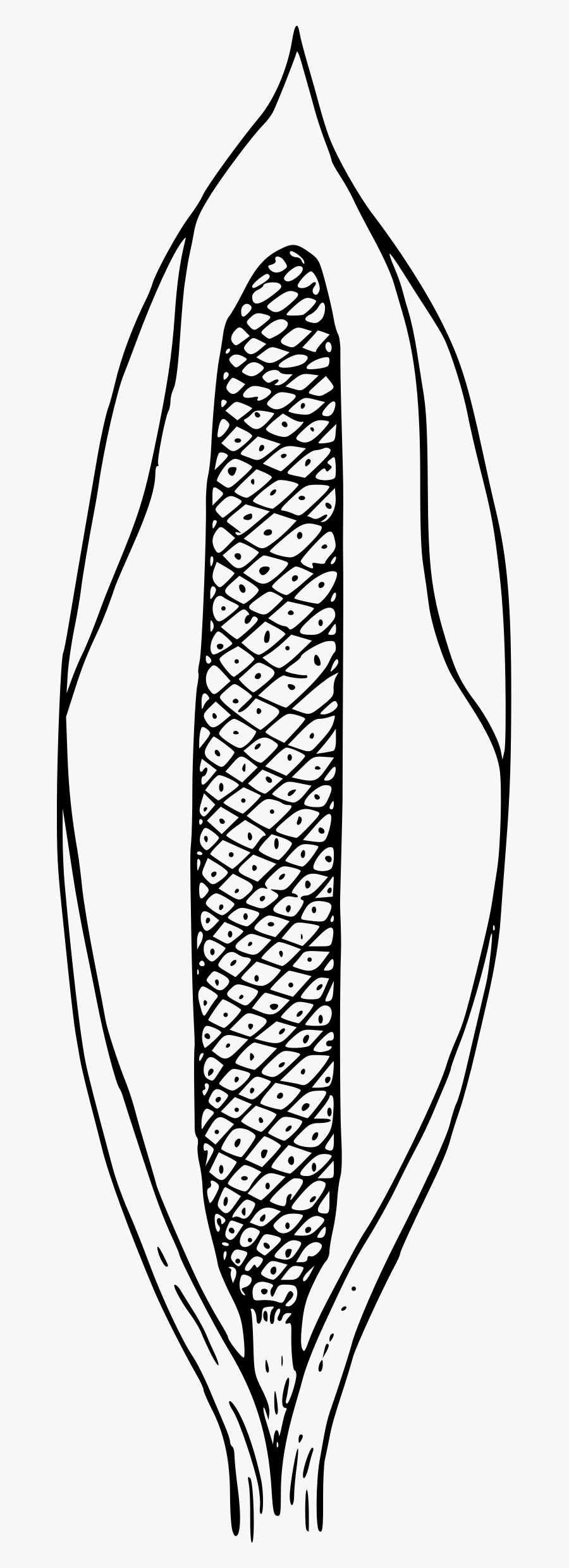 Cabbage Big Image Png, Transparent Clipart