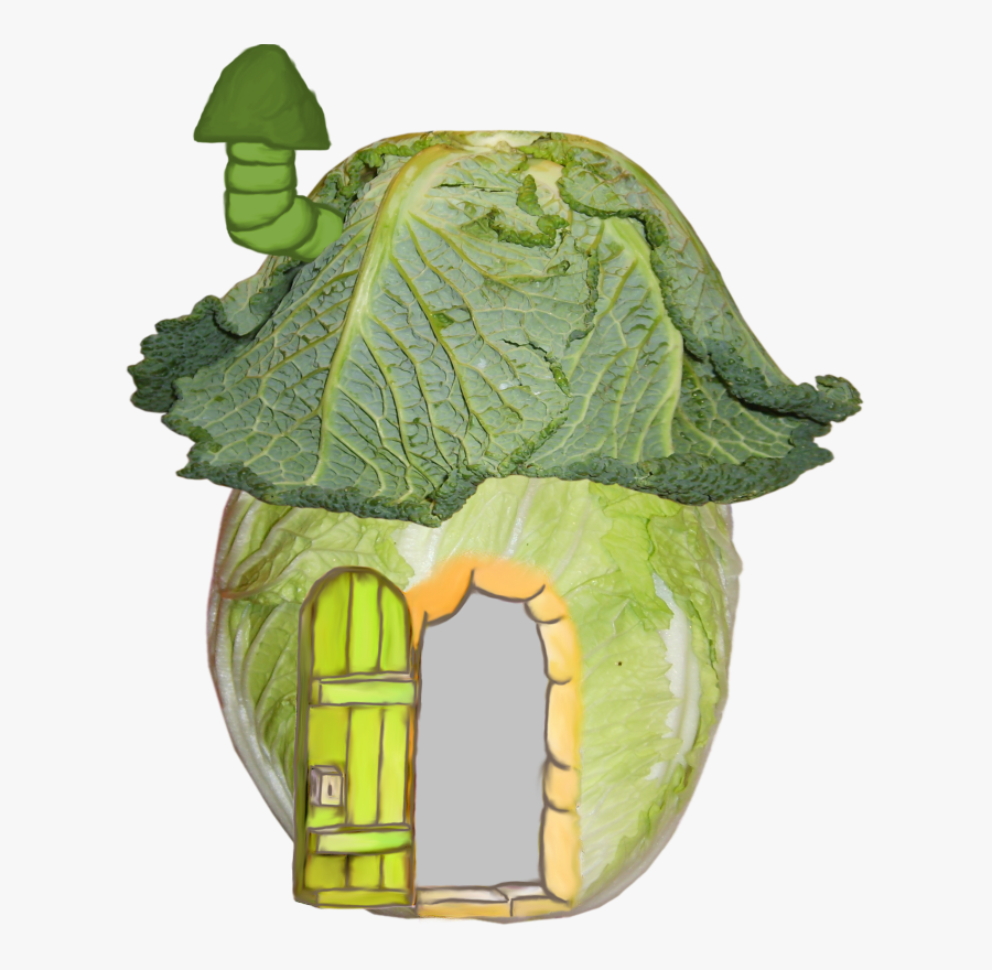 Cabbage House, Transparent Clipart