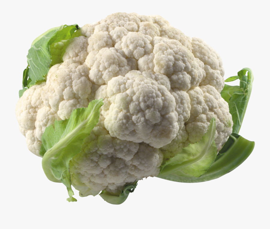 Best Free Cabbage Icon Clipart - Cauliflower Png, Transparent Clipart