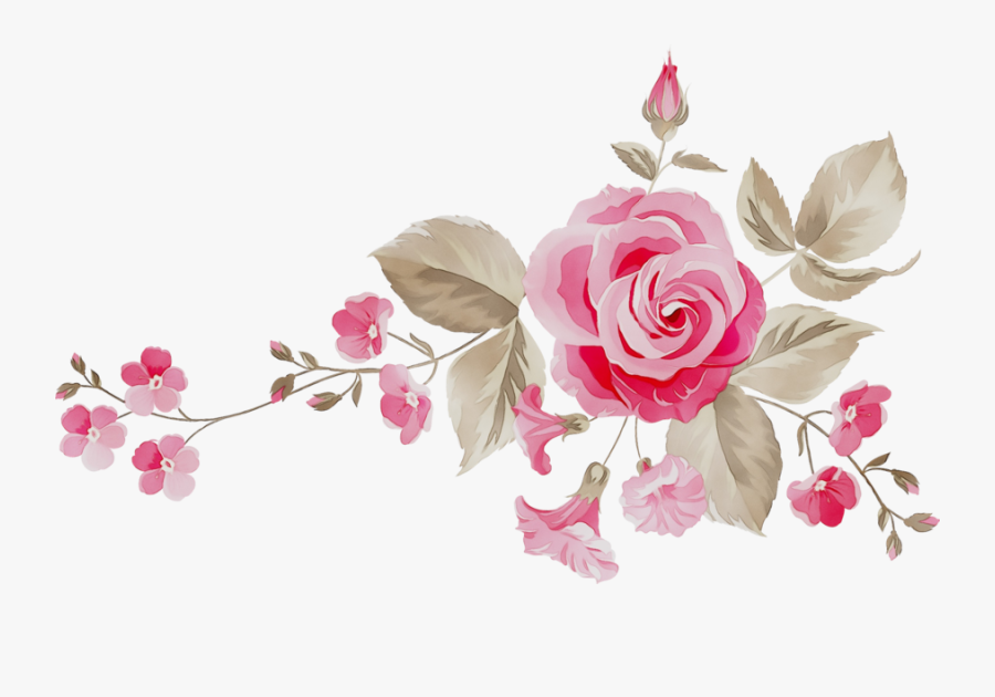 Roses Clipart Cabbage Rose - Garden Roses, Transparent Clipart