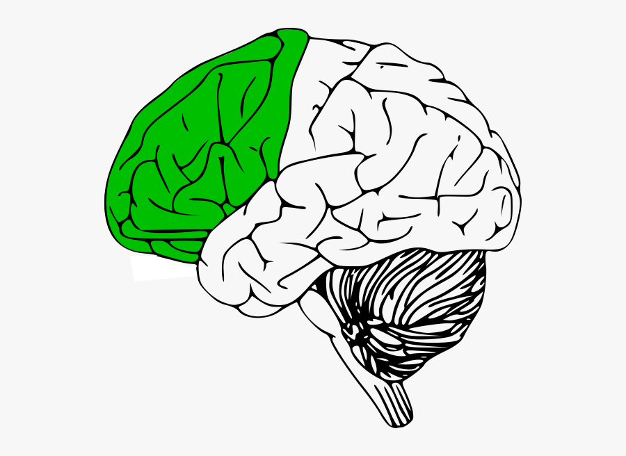 Black And White Brain Clipart, Transparent Clipart