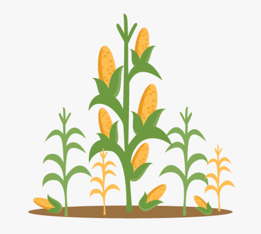 Clip Art Corn Stalks - Corn Stalk Clipart, Transparent Clipart