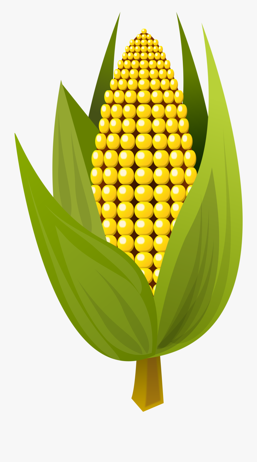 Corn Vector Clipart Image - Corn Vector Png, Transparent Clipart