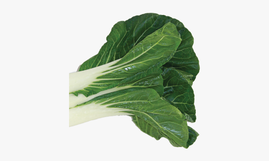 Portable Network Graphics, Transparent Clipart