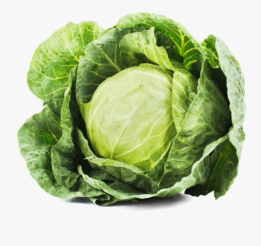 Red Cabbage Leaf Vegetable Food - Cabbage Png Transparent, Transparent Clipart
