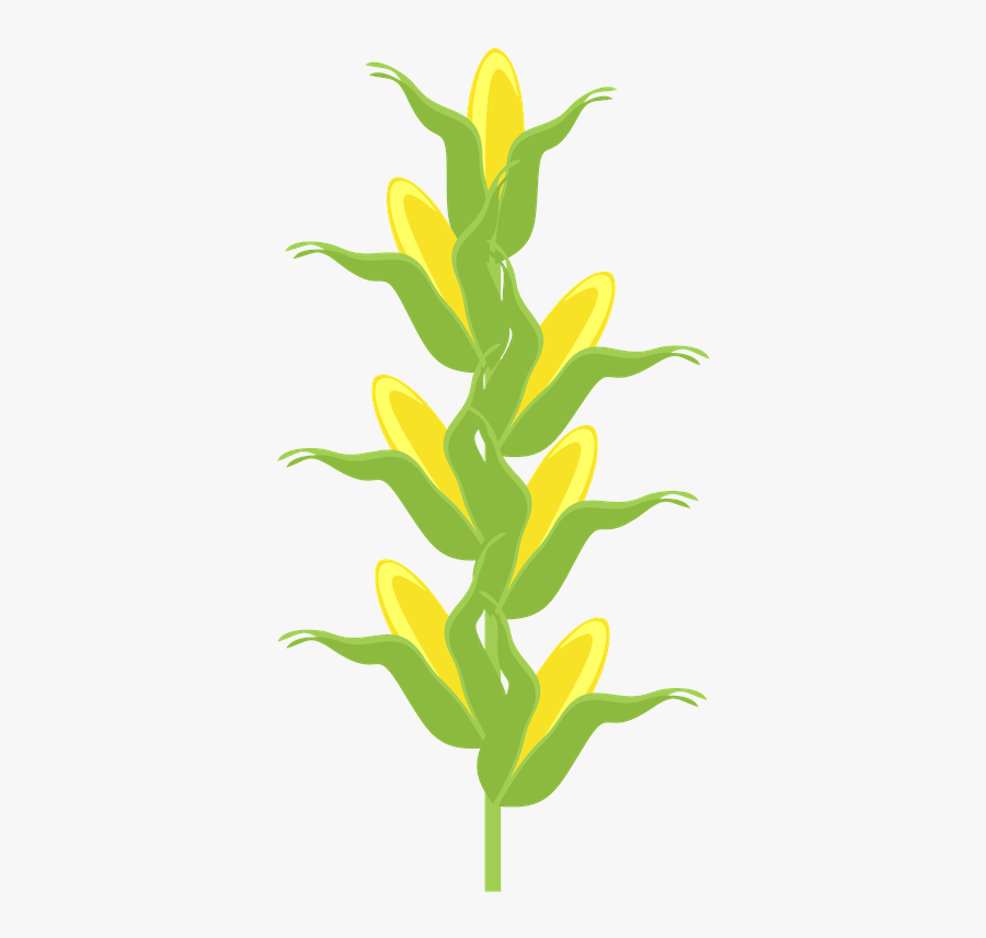 Plantas Fazendinha Png, Transparent Clipart