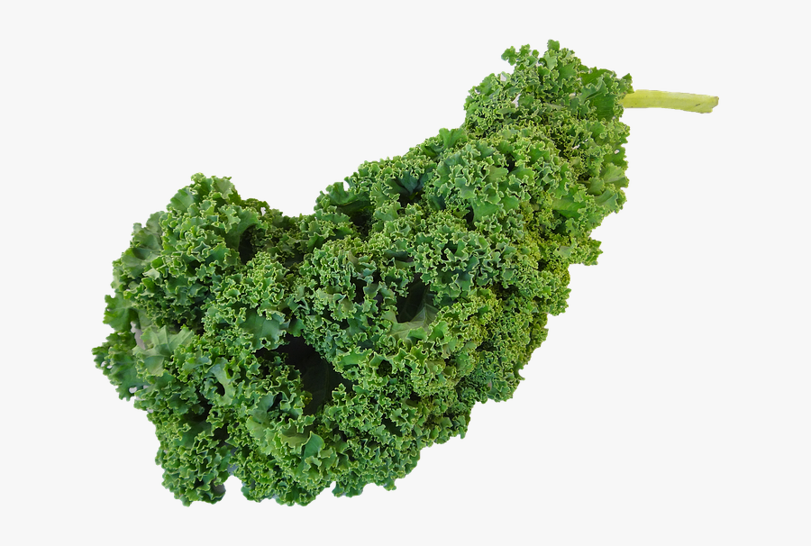 Kale Png Clipart - Kiel Vegetable, Transparent Clipart
