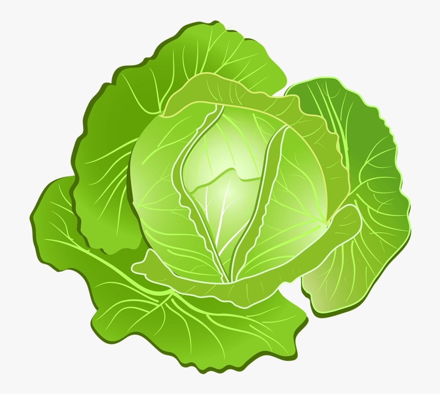 Clipart Vegetables Vegy - Lettuce Clipart Transparent Background, Transparent Clipart