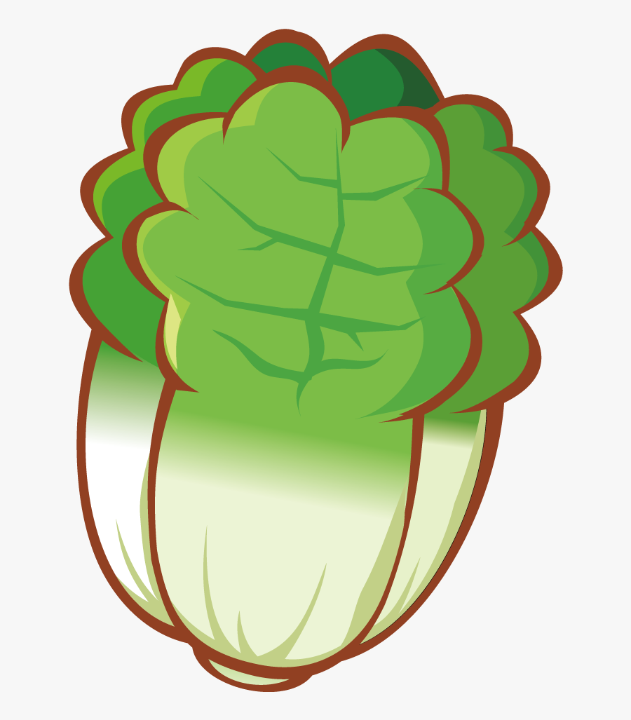 Banner Freeuse Library Cabbage Drawing Inside - Vegetable Cartoon Png, Transparent Clipart