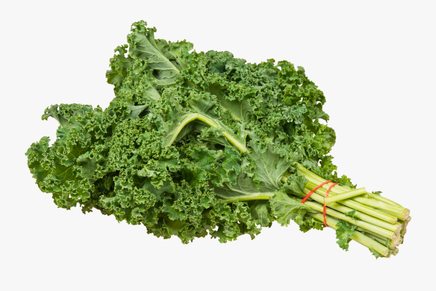 Cabbage Clipart, Transparent Clipart