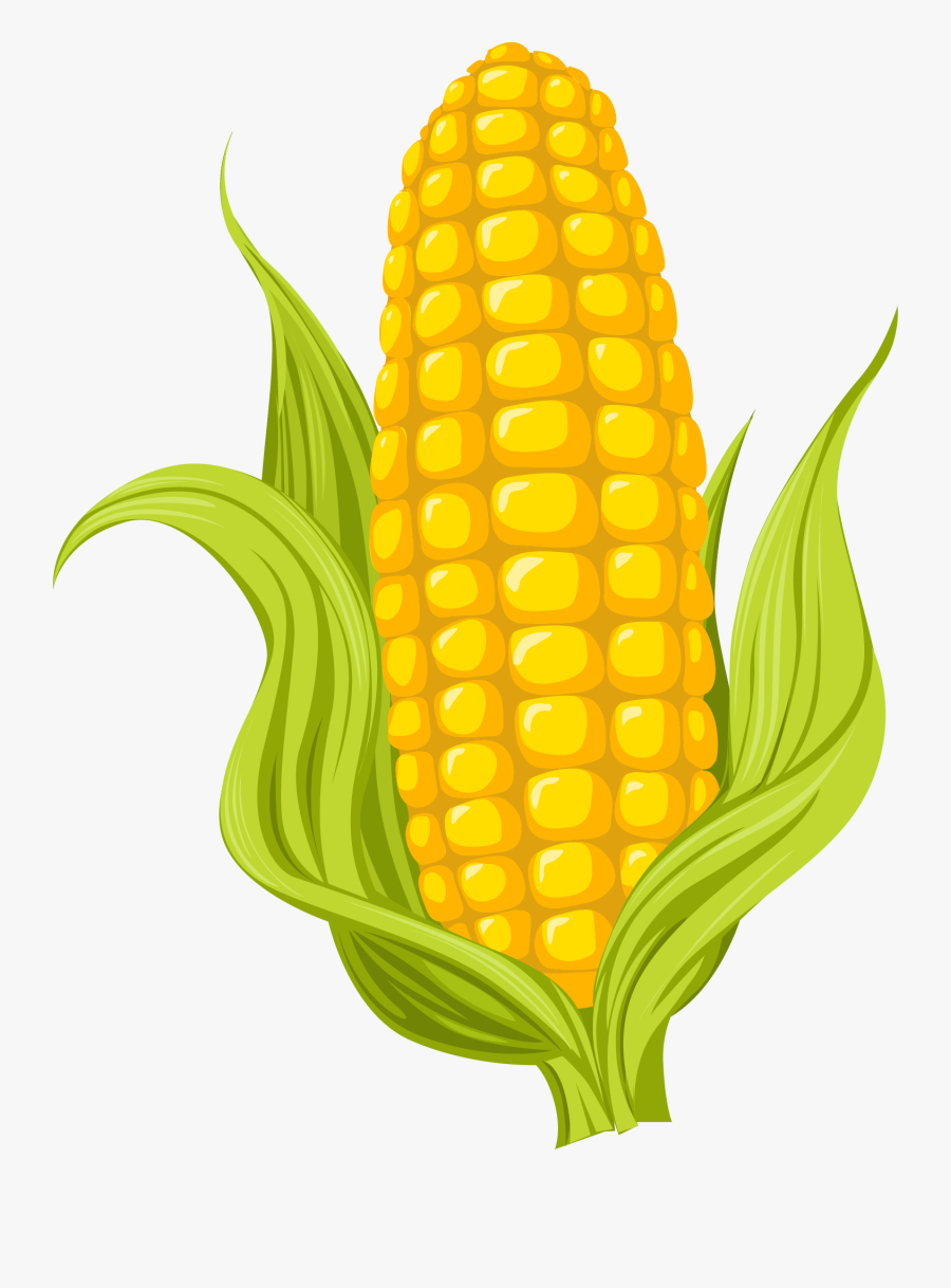 Collection Of Free Drawing - Corn Clipart, Transparent Clipart