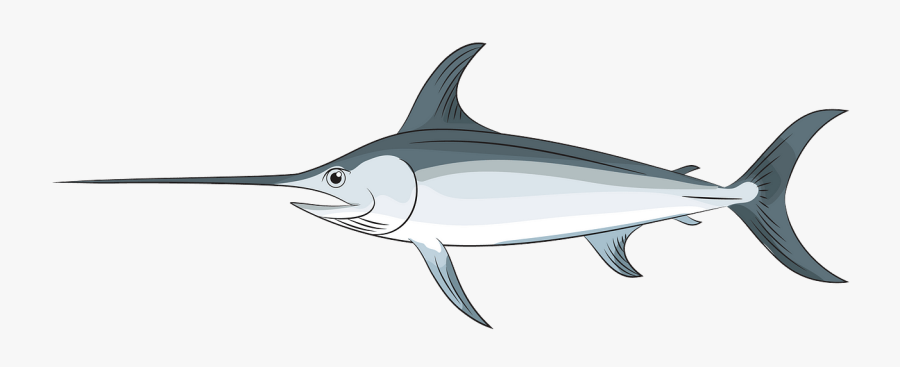 Swordfish, Transparent Clipart
