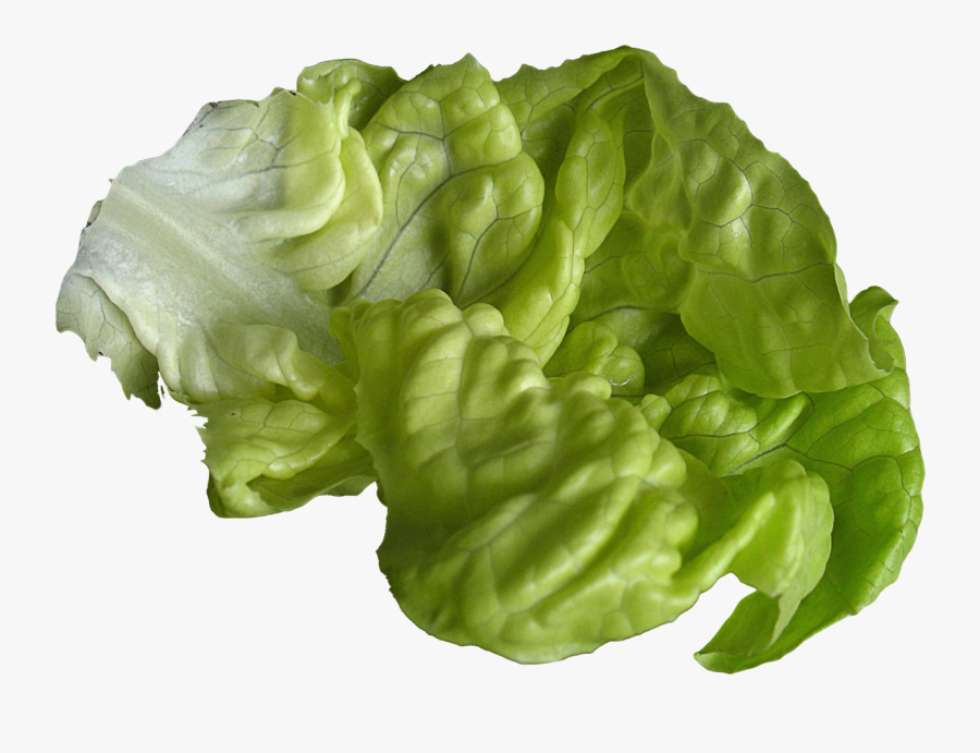 Lettuce Png Image - Lettuce, Transparent Clipart