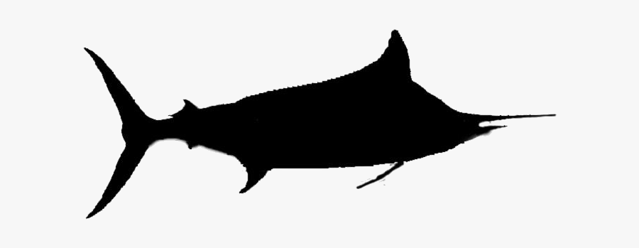 Fish Clipart Png Transparent Images - Swordfish, Transparent Clipart