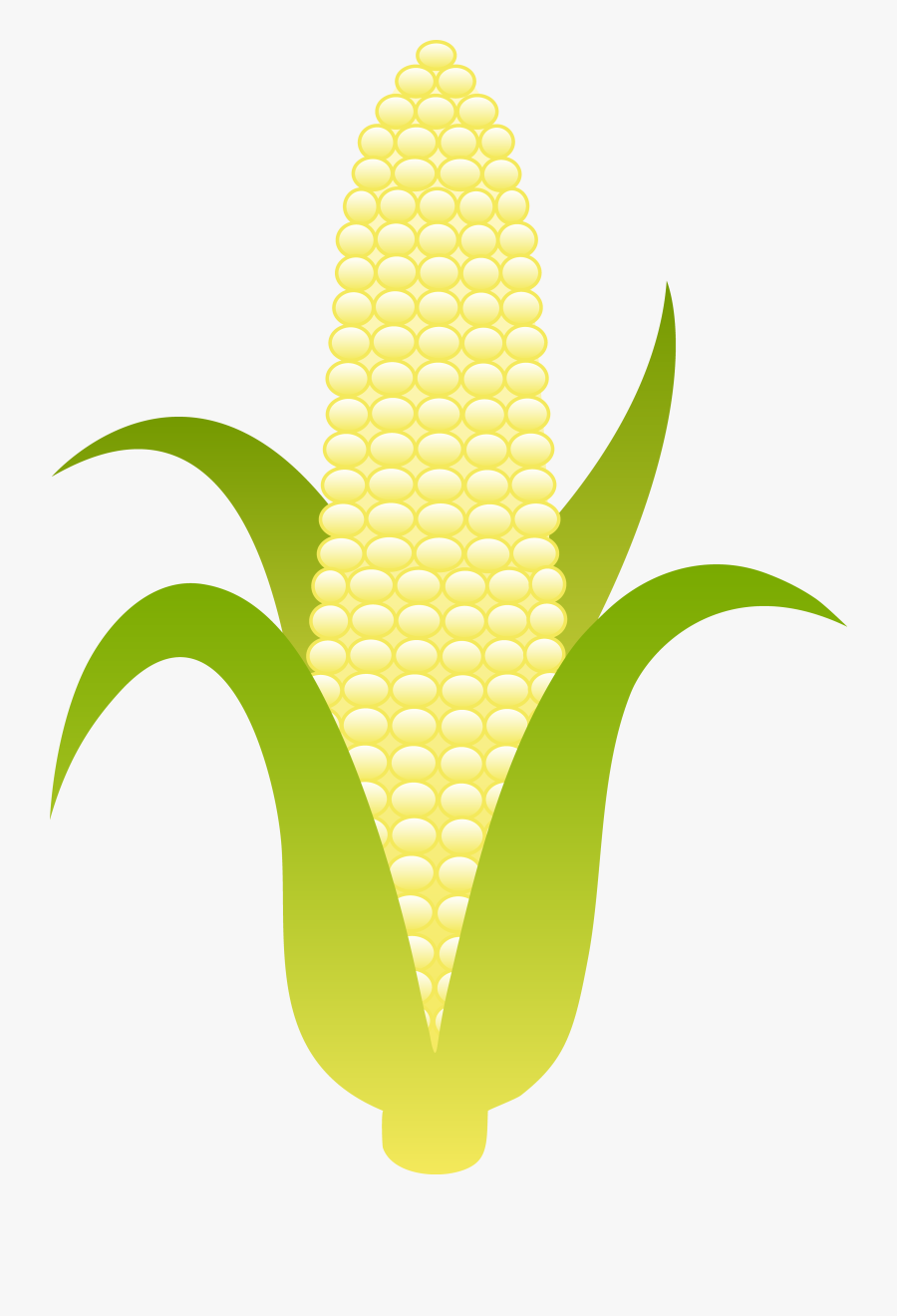 Corn Clip Art, Transparent Clipart