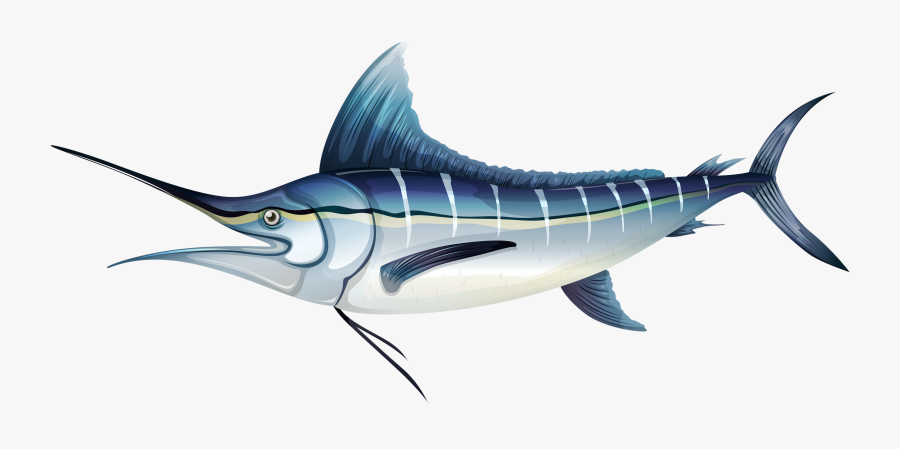 Kind Of Fish, Transparent Clipart
