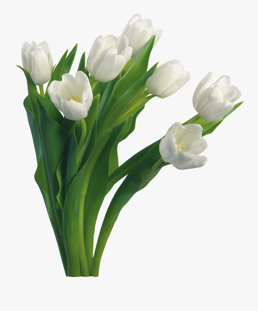 Best Free Bouquet Of Flowers Png, Transparent Clipart